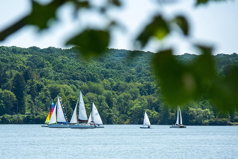 Regatta Sailing Races