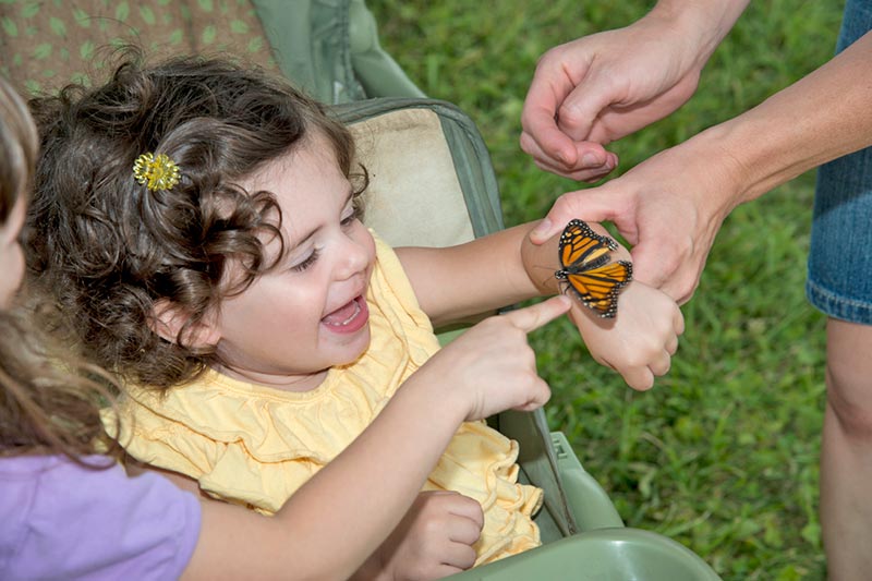 Toddler with Butterfly